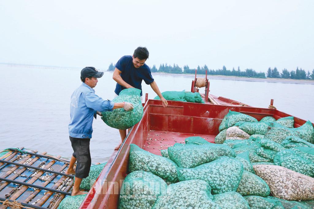 Nông nghiệp vững vàng vượt sóng về đích