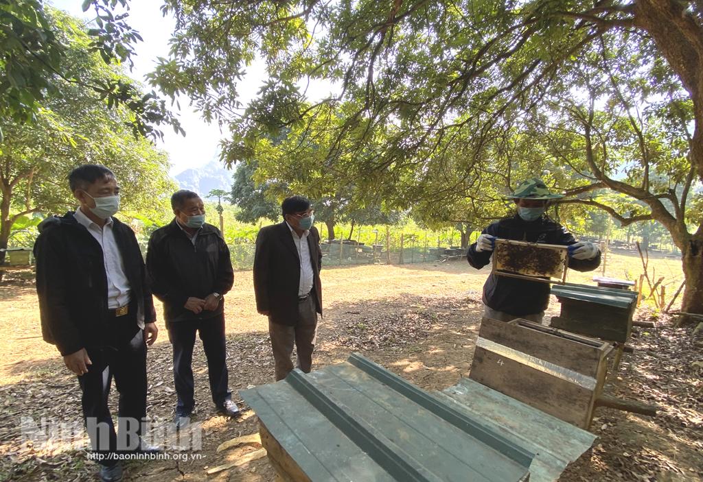 Cựu chiến binh Nho Quan giúp nhau giảm nghèo, nâng cao đời sống