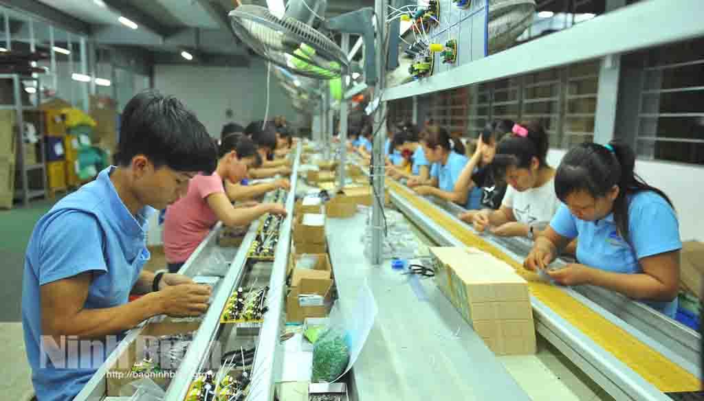 Ninh Binh's exports enjoy growth in January
