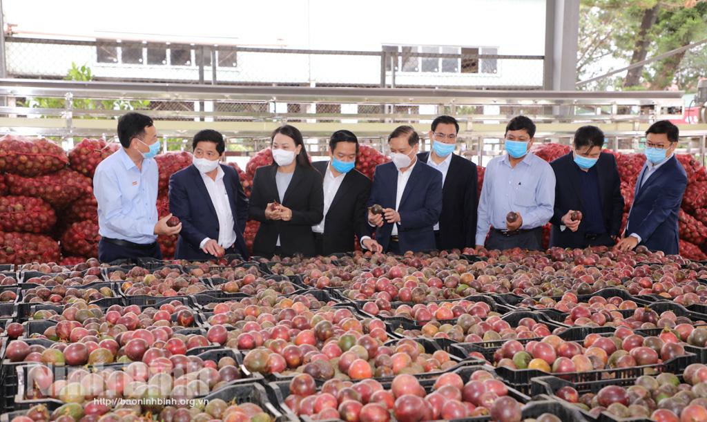 Thường trực Tỉnh ủy làm việc với Công ty Cổ phần thực phẩm xuất khẩu Đồng Giao