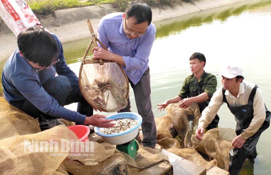 Địa chỉ cung ứng giống cá nước ngọt tin cậy cho người dân