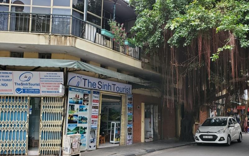 National economic census begins on March 1