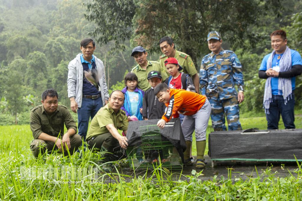 Tái thả 92 cá thể động vật hoang dã tại Vườn quốc gia Cúc Phương