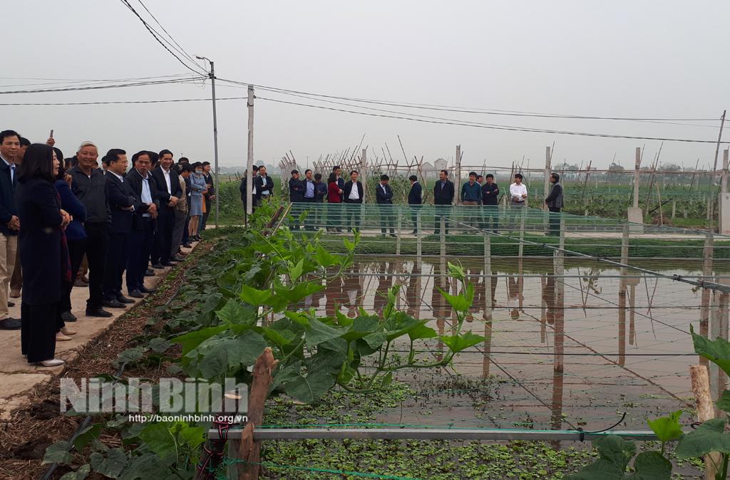 Đánh giá kết quả thực hiện các mô hình trong sản xuất nông nghiệp