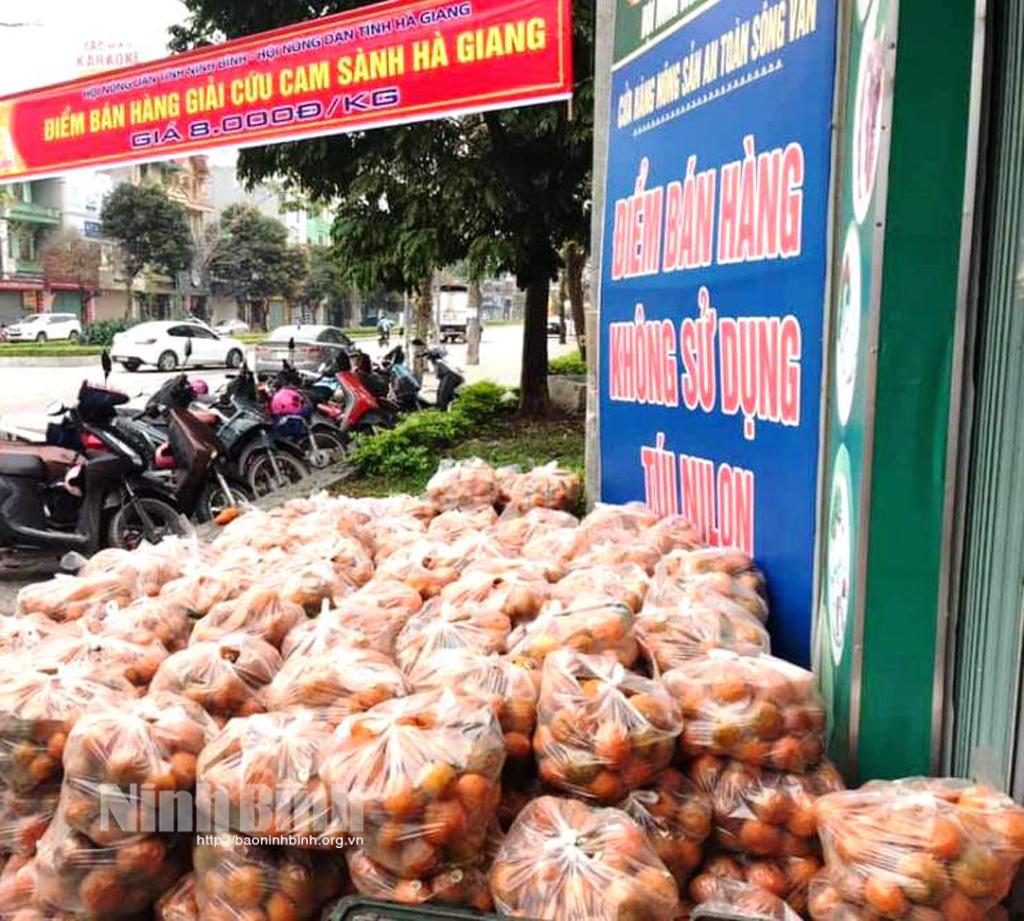 Hội Nông dân tỉnh "giải cứu" 5 tấn cam sành Hà Giang