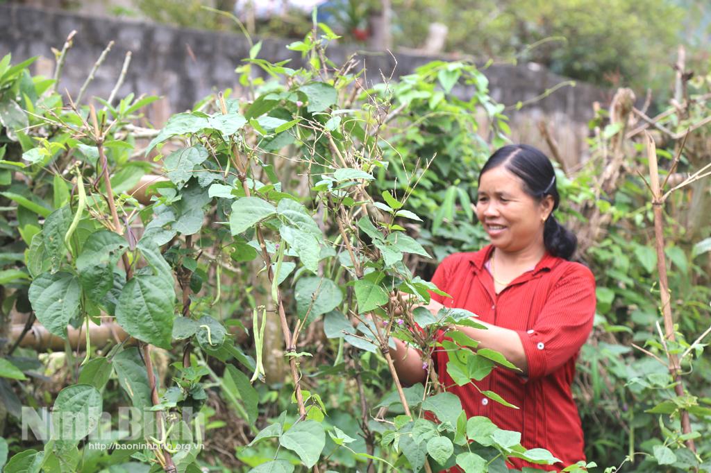 Khát vọng của đồng bào Mường ở Nho Quan - Kỳ 1: Đánh thức bản xa