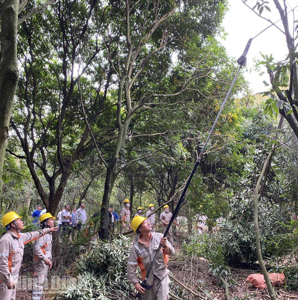 PC Ninh Bình nỗ lực cung cấp điện an toàn