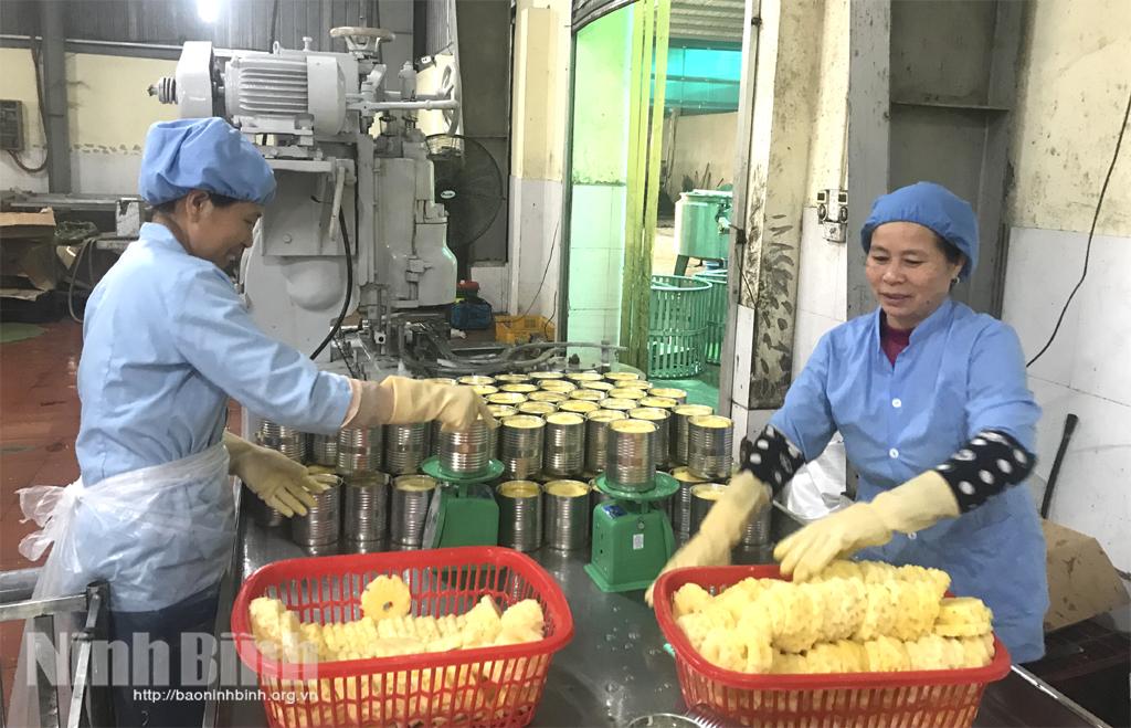 Hải quan Ninh Bình: Nhiều giải pháp nuôi dưỡng nguồn thu