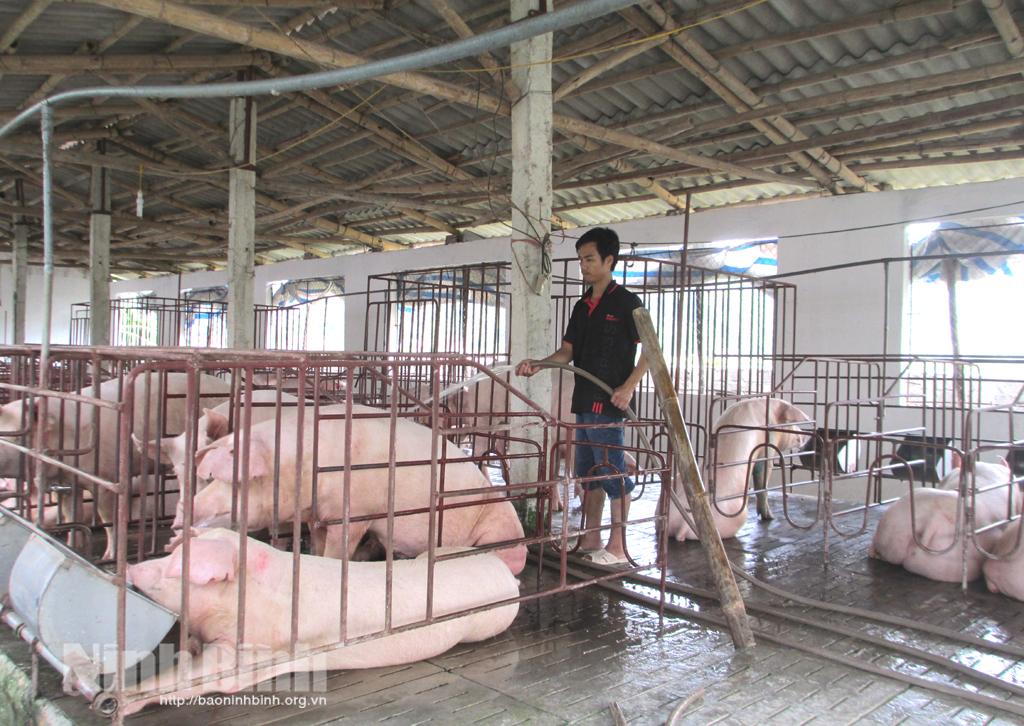 Nâng cao chất lượng nguồn nhân lực: "Chìa khóa" giảm nghèo cho các xã vùng khó