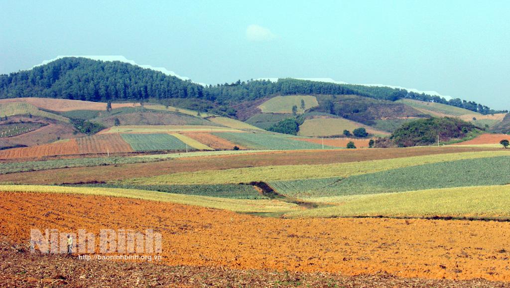Thú vị du lịch nông nghiệp ở Ninh Bình