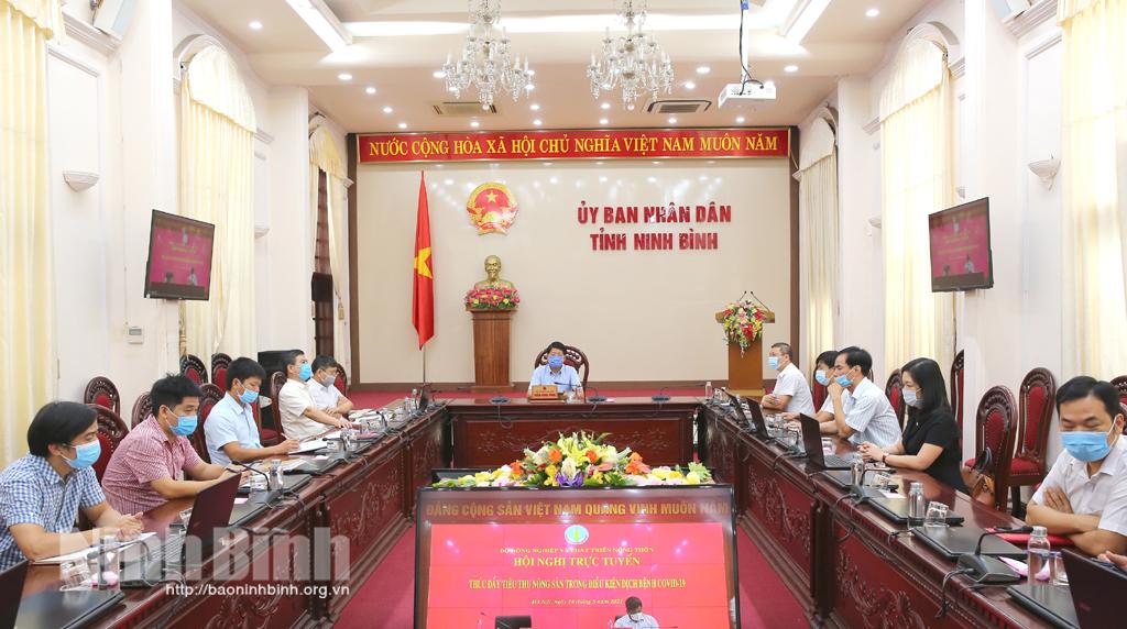 Bàn giải pháp thúc đẩy tiêu thụ nông sản trong điều kiện dịch COVID -19