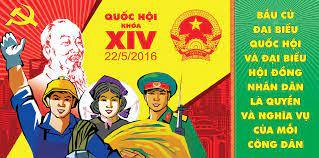 Những cử tri nào chỉ được tham gia bầu cử ở cấp tỉnh, huyện?