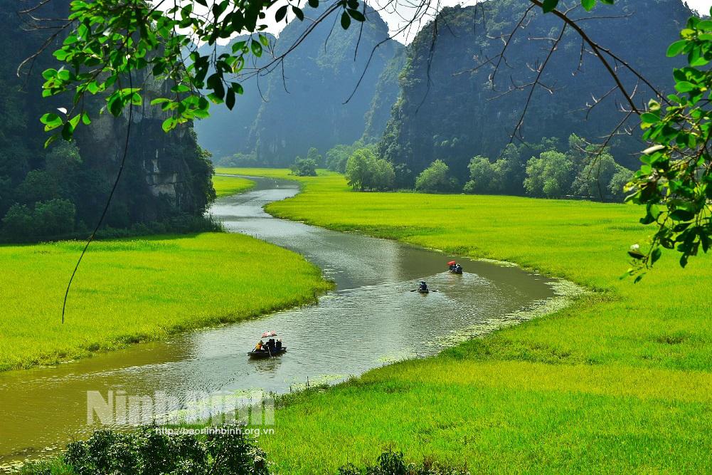 Dừng tổ chức Tuần du lịch "Sắc vàng Tam Cốc - Tràng An"