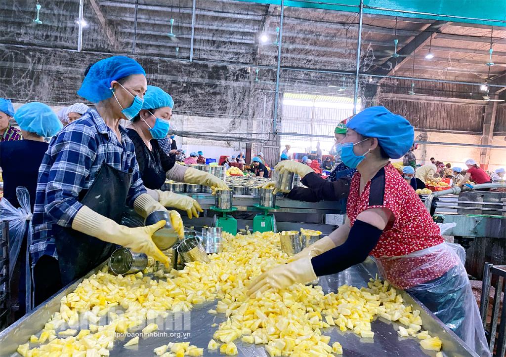 Hăng hái thi đua lao động chào mừng ngày bầu cử