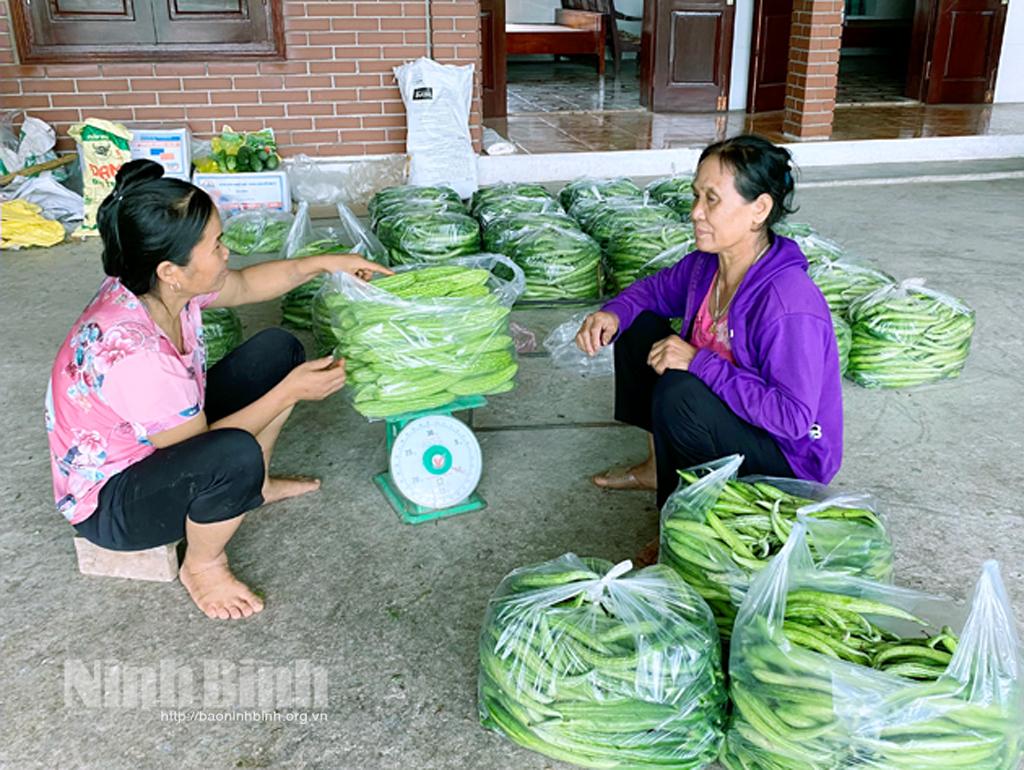 Giải pháp sản xuất, tiêu thụ nông sản ứng phó với dịch COVID-19