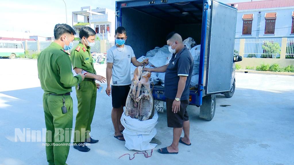 Công an Tam Điệp bắt giữ vụ vận chuyển 600 kg thịt lợn ôi thiu