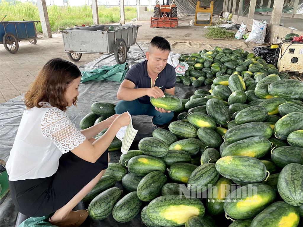 QR Code - lời cam kết về chất lượng nông sản với người tiêu dùng