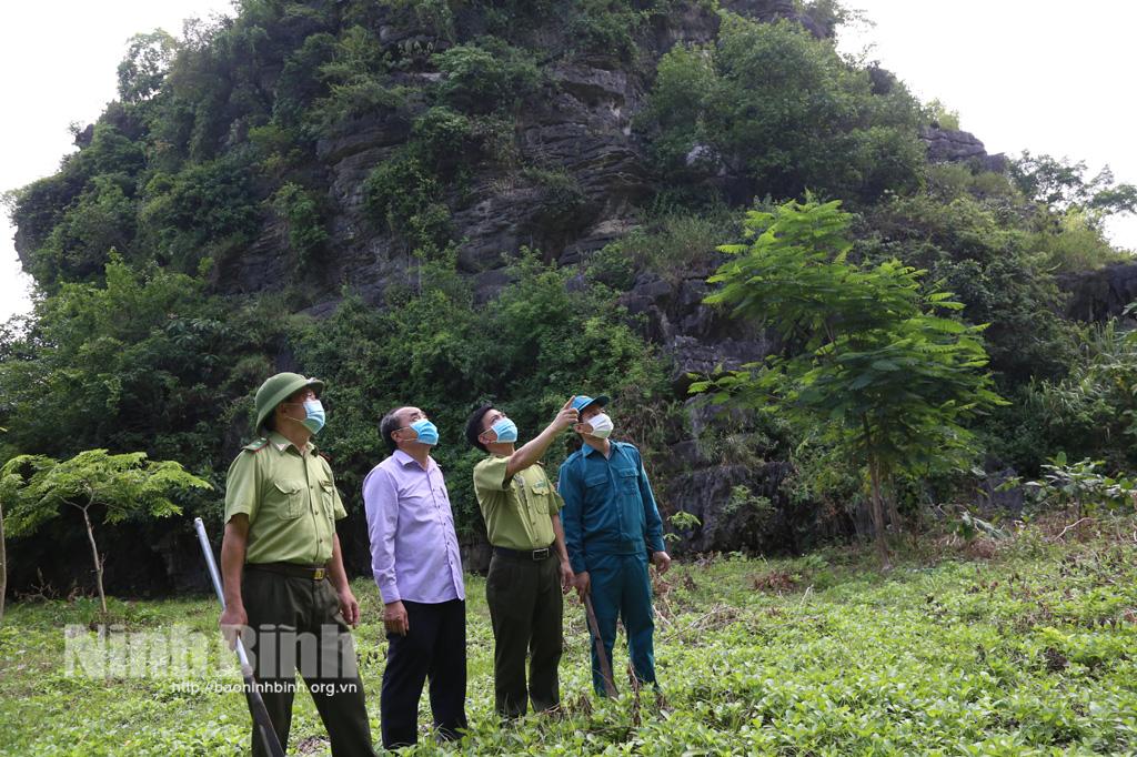 Chủ động phòng chống cháy rừng mùa cao điểm