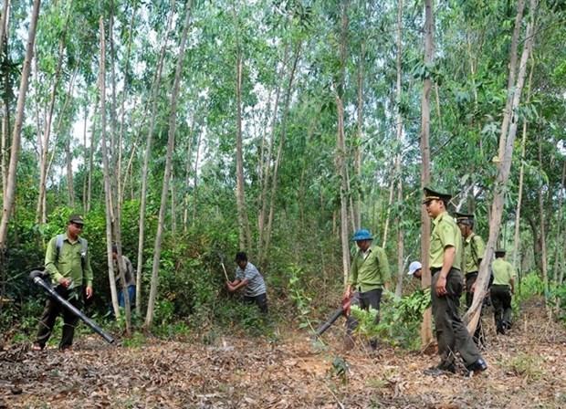 Minister urges localities to prepare to fight forest fires