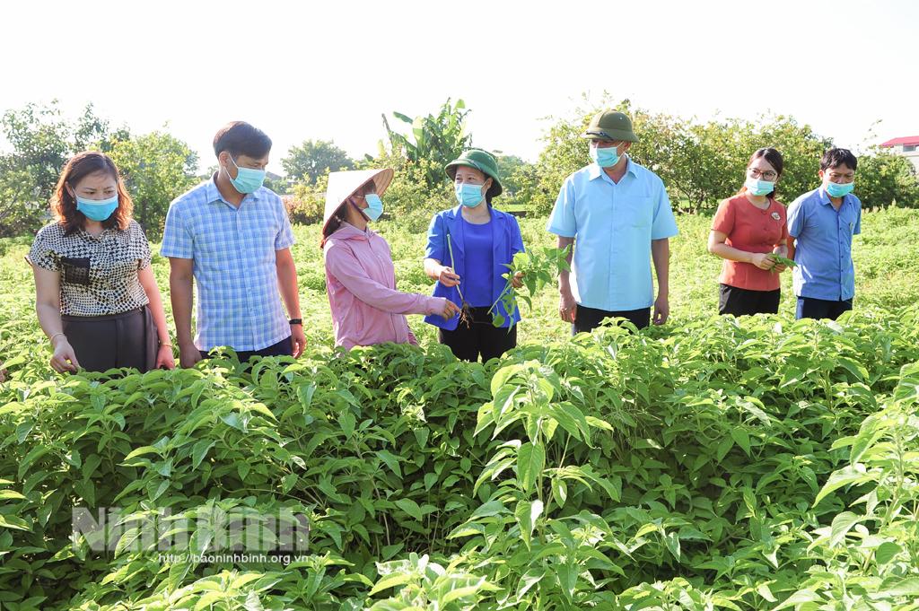 Yên Mô giao ban công tác dân vận quý II
