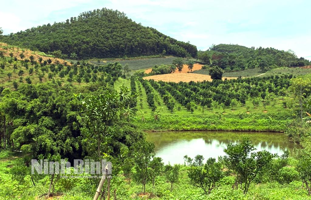 Đảm bảo an ninh lương thực trong điều kiện dịch COVID-19