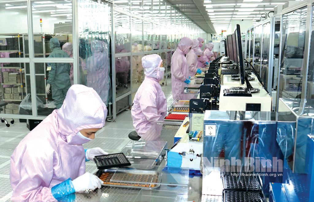 Ninh Binh's domestic tax revenue sees high growth