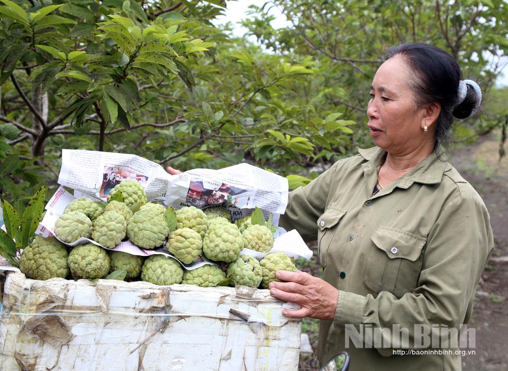 Nho Quan phấn đấu chuẩn hóa 3 sản phẩm OCOP trong năm 2021