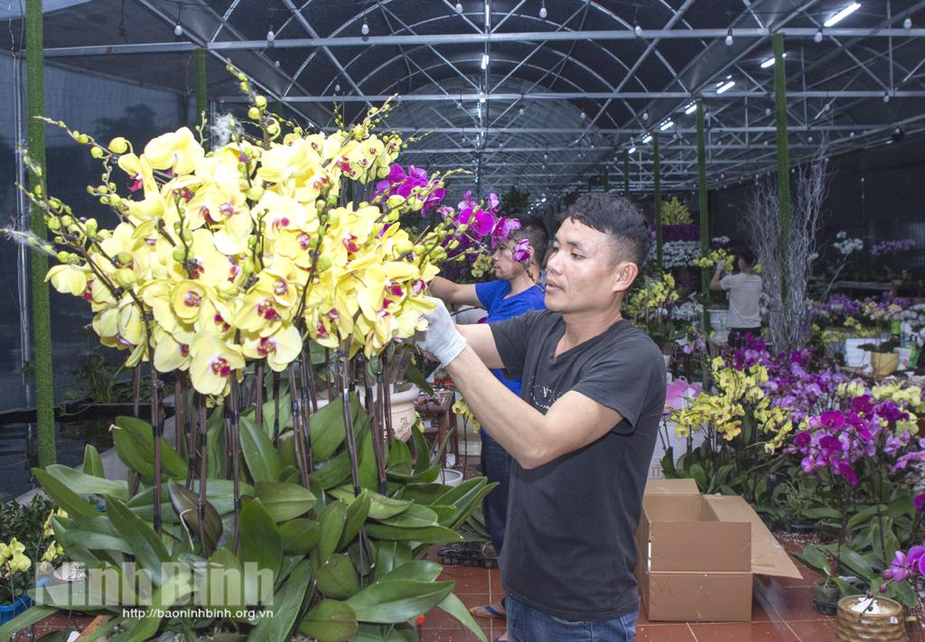Đổi mới và nâng cao hiệu quả các hình thức tổ chức sản xuất