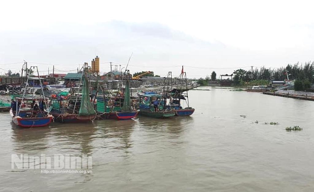 Kim Sơn: Kêu gọi 100% người lao động và phương tiện về nơi tránh trú an toàn