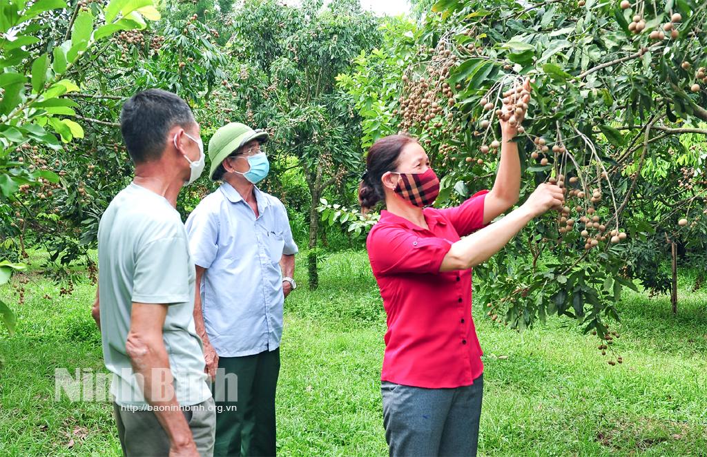 Nho Quan: Nâng cao nhận thức, trách nhiệm của cấp ủy trong công tác phát triển đảng viên