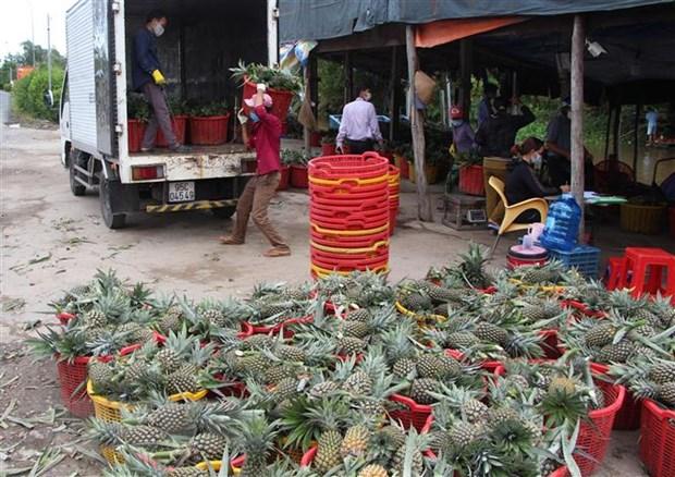 Ứng dụng công nghệ số trong kết nối cung cầu sản phẩm nông nghiệp