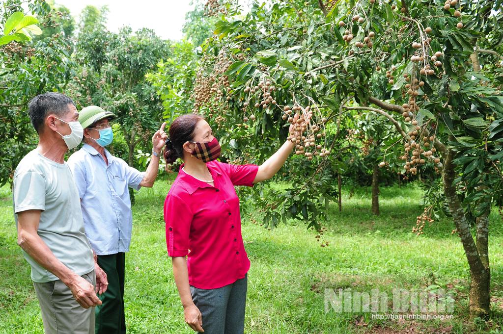 Xích Thổ: Phát huy vai trò tiên phong, gương mẫu của đảng viên