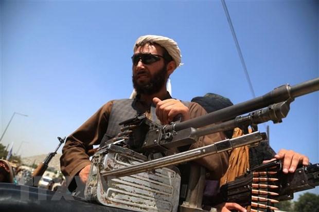 Tổng Thư ký NATO: Chính phủ Afghanistan sụp đổ nhanh không ngờ