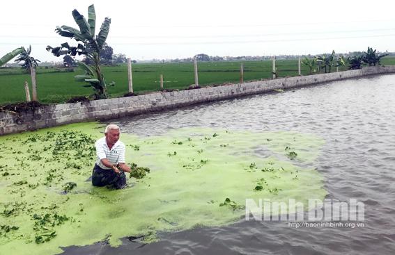 Yên Mô tập trung phát triển thủy sản theo hướng bền vững