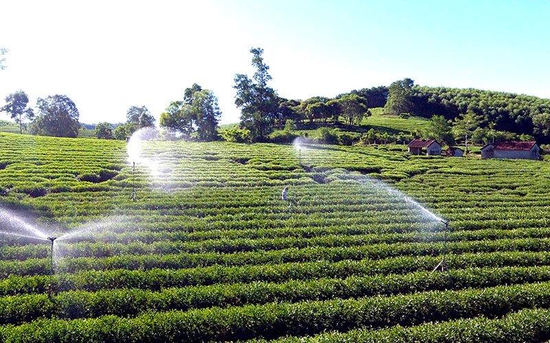 Digital transformation boosted in agriculture