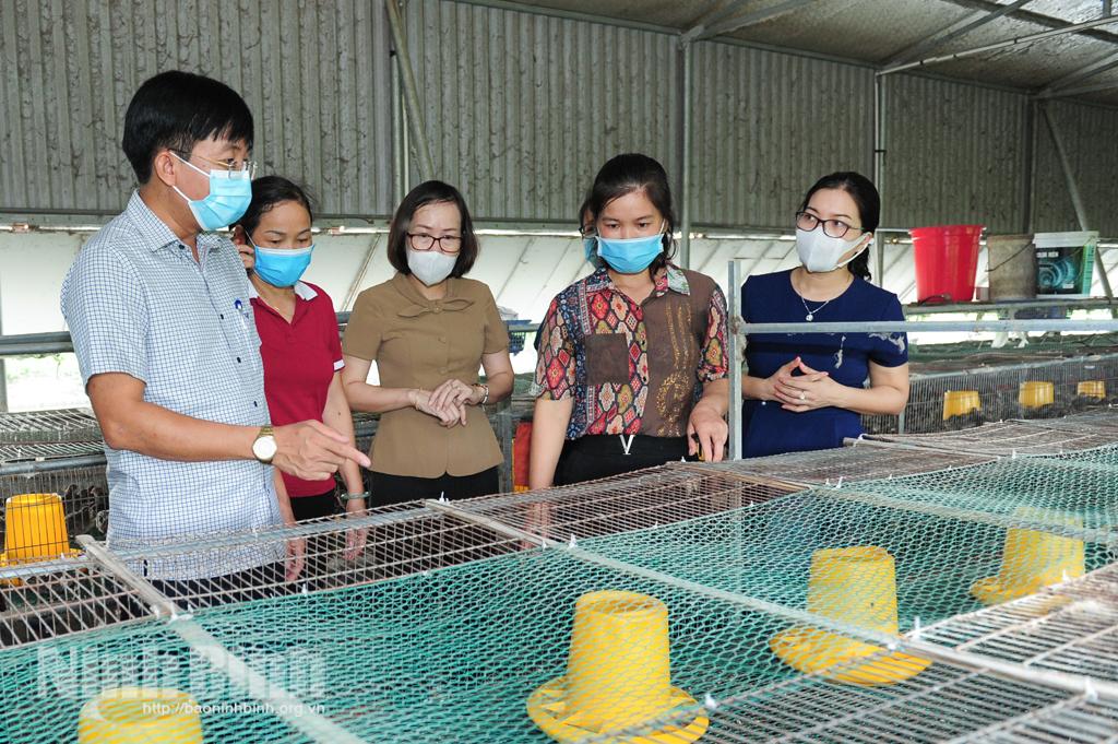 Hội LHPN huyện Hoa Lư ra mắt Tổ hợp tác Nuôi chim cút hữu cơ