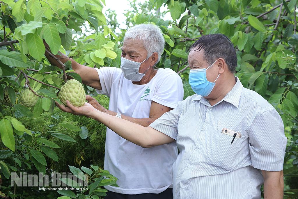 Quan tâm, hỗ trợ nạn nhân chất độc da cam phát triển kinh tế
