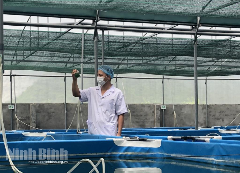 Hỗ trợ chuyển đổi số trong các hợp tác xã nông nghiệp