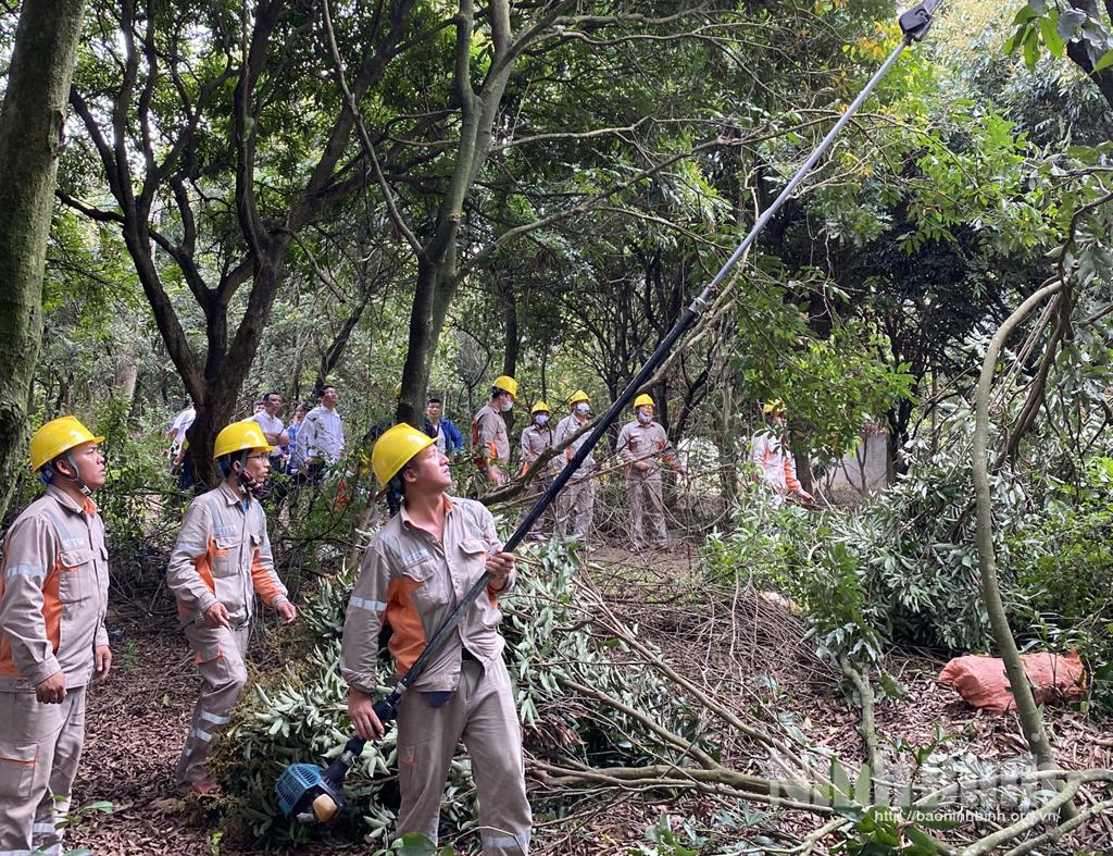 PC Ninh Bình: Đảm bảo an toàn hệ thống lưới điện trong mùa mưa bão