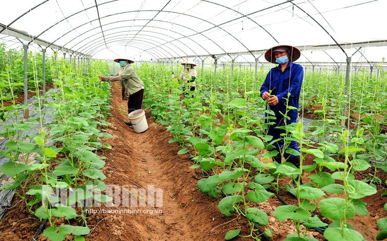 Chuyển đổi số- chìa khóa để nông nghiệp bứt tốc