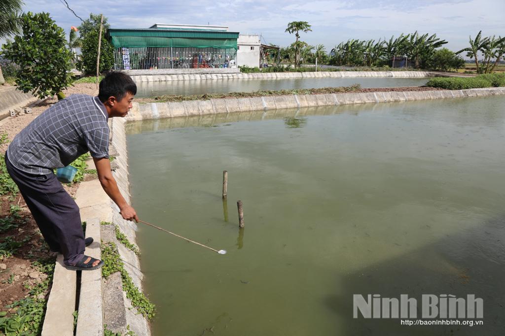 Liên kết sản xuất theo chuỗi giá trị để phát triển nông nghiệp bền vững