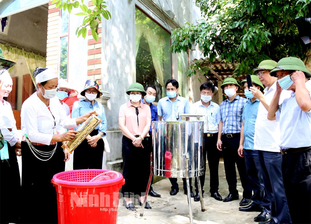 Nho Quan: Hiệu quả thực hiện Đề án tái cơ cấu ngành Nông nghiệp