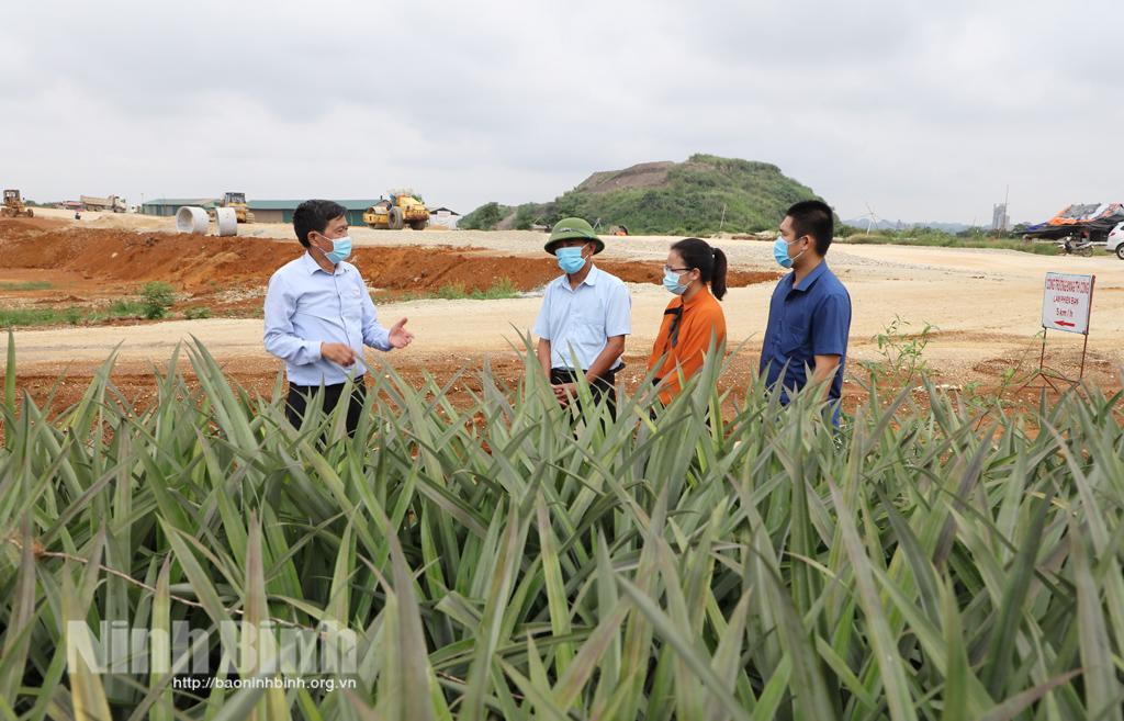 Công ty Cổ phần thực phẩm xuất khẩu Đồng Giao: Tích cực đồng hành trong công tác giải phóng mặt bằng dự án cao tốc Bắc - Nam