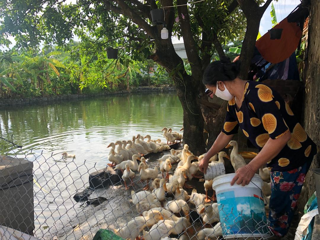 Nông dân linh hoạt để tiêu thụ nông sản