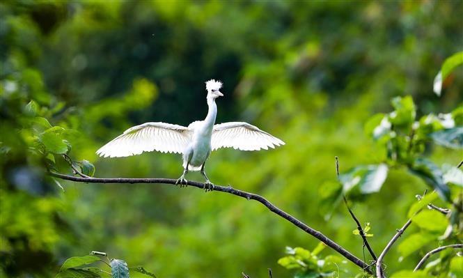 Ninh Binh promotes biodiversity preservation