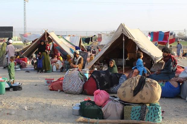 LHQ hy vọng sớm cung cấp viện trợ cho Afghanistan bằng đường bộ