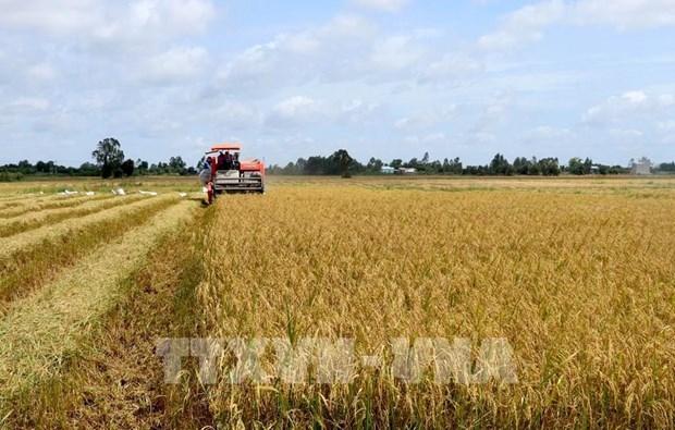 Agricultural sector flexibly adapts to COVID-19 to grow further