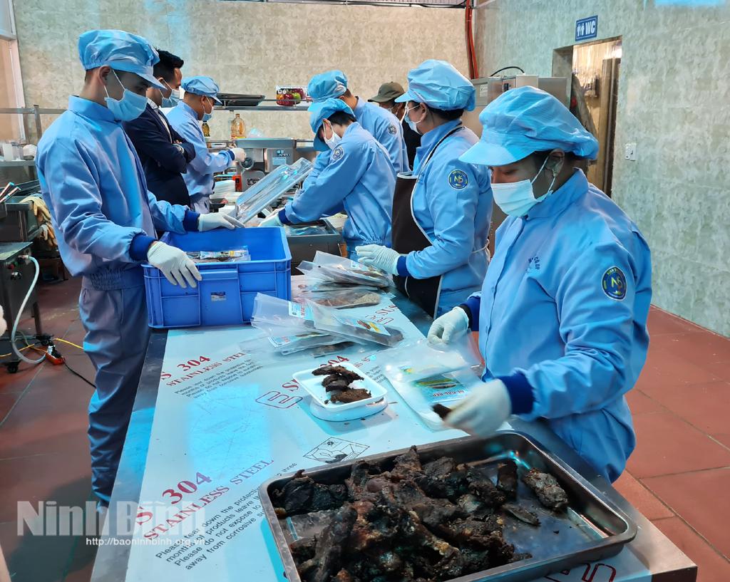 Các HTX sẵn sàng nguồn hàng phục vụ thị trường Tết