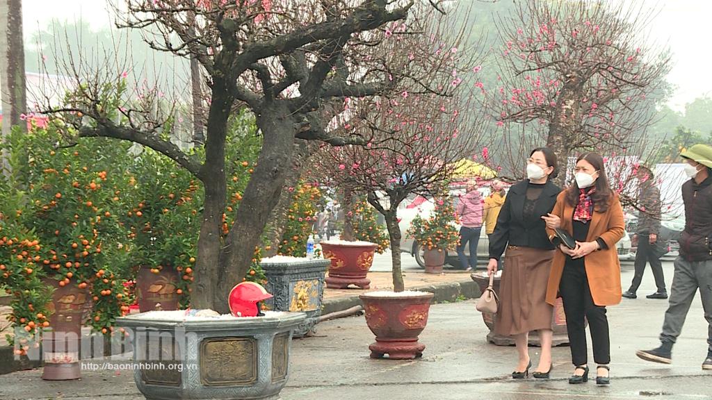 Khai mạc Hội chợ hoa xuân Nhâm Dần năm 2022