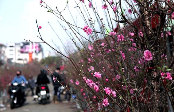 Dự báo xu thế thời tiết Tết Nguyên đán Nhâm Dần 2022